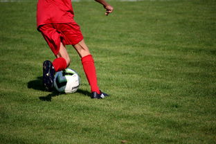 开云体育入口-意甲裁判语义分析系统在比赛判罚中的应用研究，意甲第三轮裁判